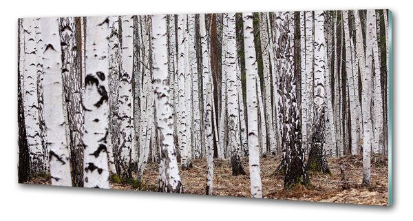 Skleněný panel do kuchyně Bříza pksh-83058512