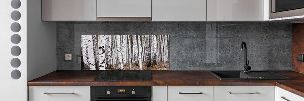 Skleněný panel do kuchyně Bříza pksh-83058512