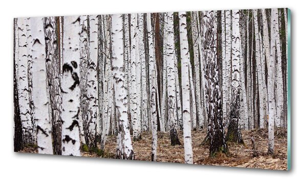 Skleněný panel do kuchyně Bříza pksh-83058512
