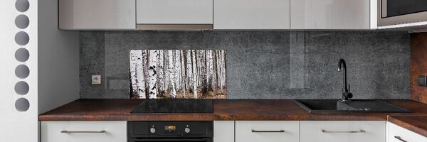 Skleněný panel do kuchyně Bříza pksh-83058512