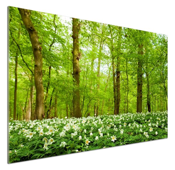 Panel do kuchyně Květiny v lese pksh-83235444