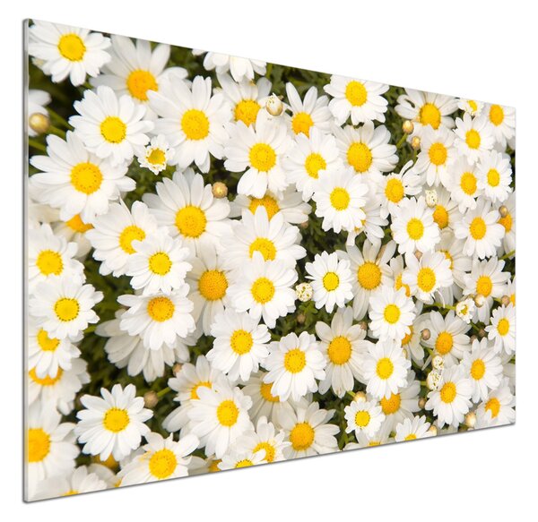 Skleněný panel do kuchynské linky Sedmikrásky pksh-83272267