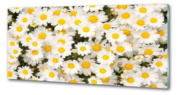 Skleněný panel do kuchynské linky Sedmikrásky pksh-83272267
