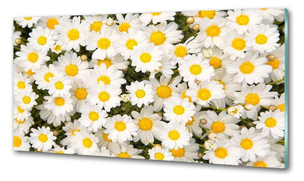 Skleněný panel do kuchynské linky Sedmikrásky pksh-83272267