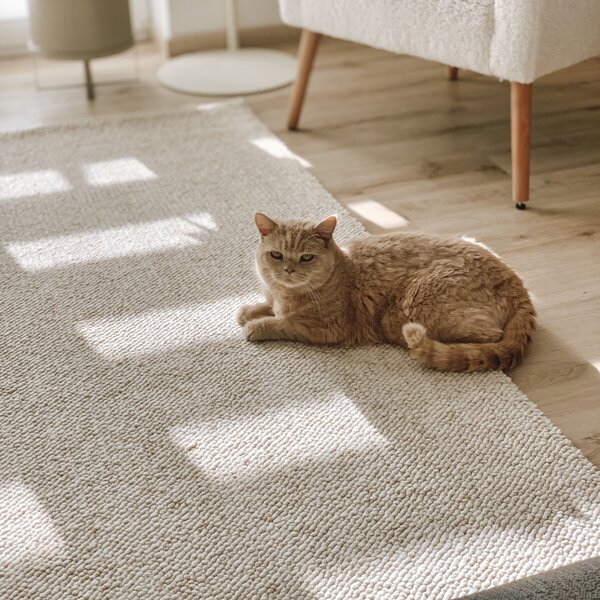 ELLE Decoration, Kusový koberec Wolly Ultra 106228 Cream z kolekce Elle, 80x150, bílá, ložnice