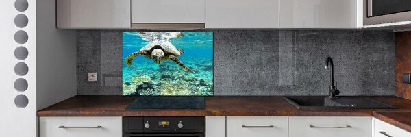 Dekorační panel sklo Mořská želva pksh-83762438