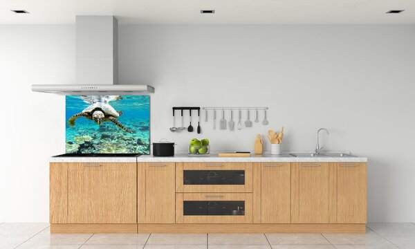 Dekorační panel sklo Mořská želva pksh-83762438