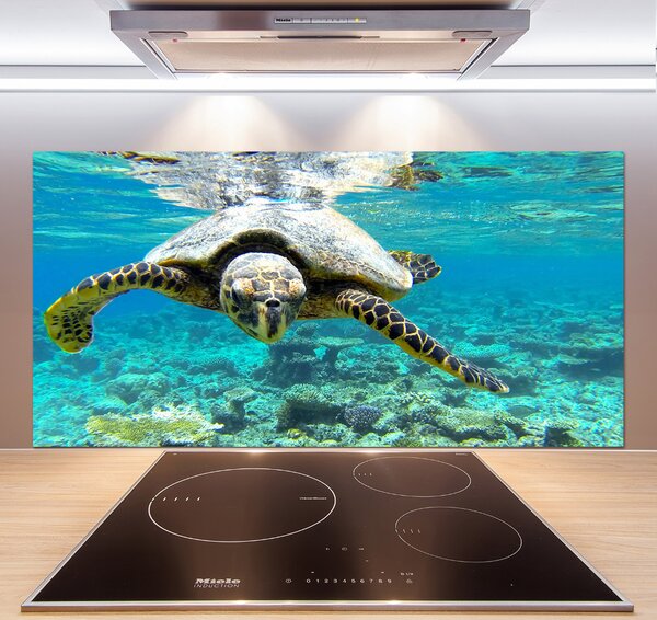 Dekorační panel sklo Mořská želva pksh-83762438