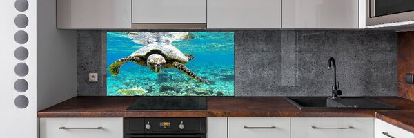 Dekorační panel sklo Mořská želva pksh-83762438