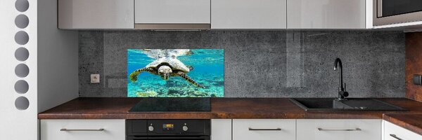 Dekorační panel sklo Mořská želva pksh-83762438