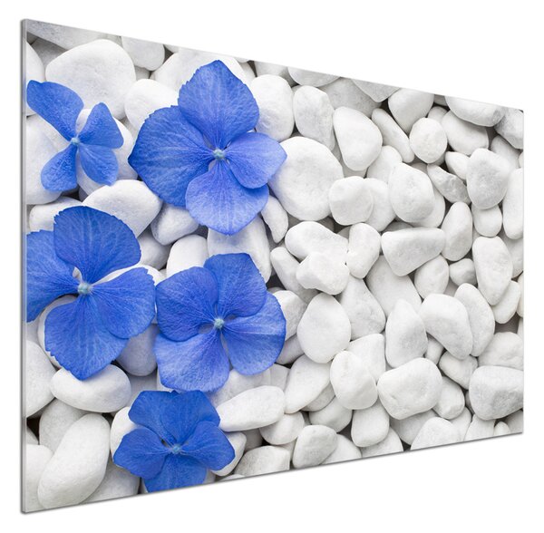 Skleněný panel do kuchynské linky Hortensie pksh-83867954