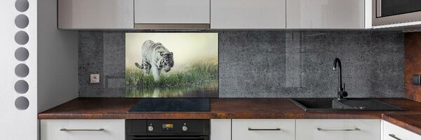 Dekorační panel sklo Bílý tygr pksh-84071201