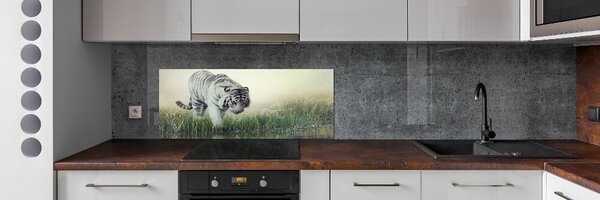 Dekorační panel sklo Bílý tygr pksh-84071201