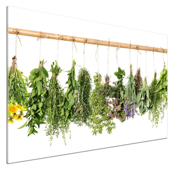 Panel do kuchyně Bylina na provázku pksh-84143260