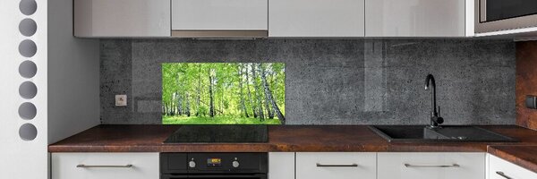 Dekorační panel sklo Břízový les pksh-84161730
