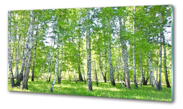 Skleněný panel do kuchyně Břízy pksh-84161268