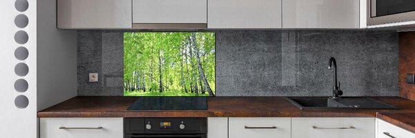 Dekorační panel sklo Břízový les pksh-84161730