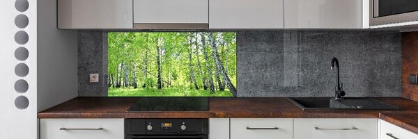 Dekorační panel sklo Břízový les pksh-84161730