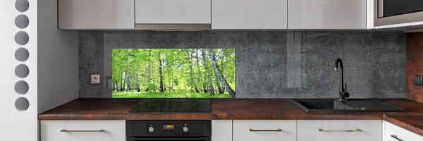 Dekorační panel sklo Břízový les pksh-84161730