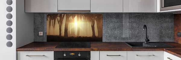 Dekorační panel sklo Mlha v lese pksh-84176608