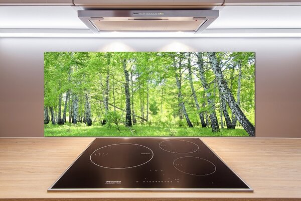Dekorační panel sklo Břízový les pksh-84161730