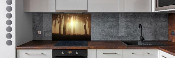 Dekorační panel sklo Mlha v lese pksh-84176608