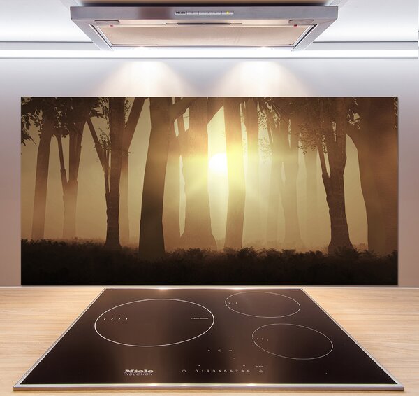 Dekorační panel sklo Mlha v lese pksh-84176608