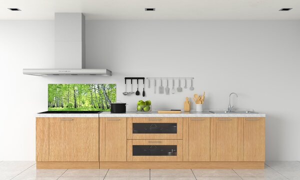 Dekorační panel sklo Břízový les pksh-84161730