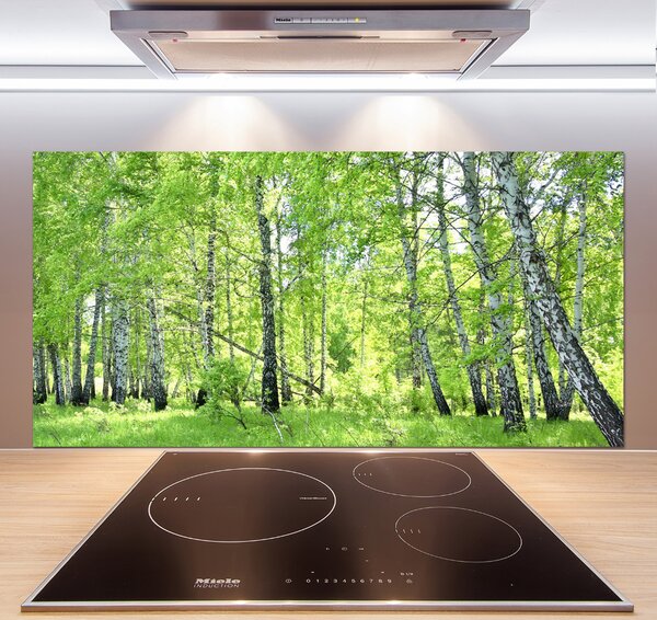 Dekorační panel sklo Břízový les pksh-84161730