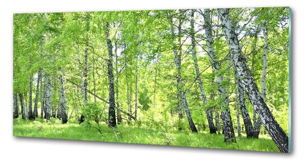 Dekorační panel sklo Břízový les pksh-84161730