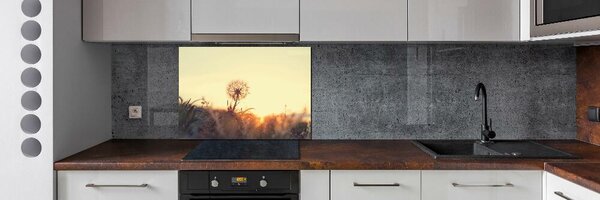 Dekorační panel sklo Pampeliška pksh-85195523