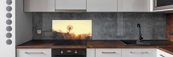 Dekorační panel sklo Pampeliška pksh-85195523