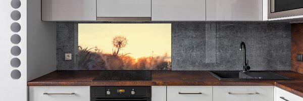 Dekorační panel sklo Pampeliška pksh-85195523