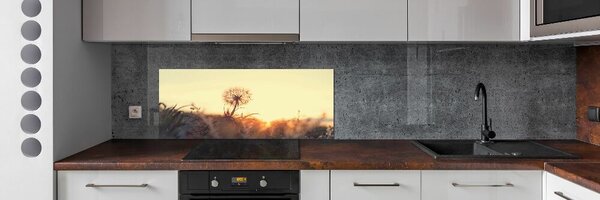 Dekorační panel sklo Pampeliška pksh-85195523