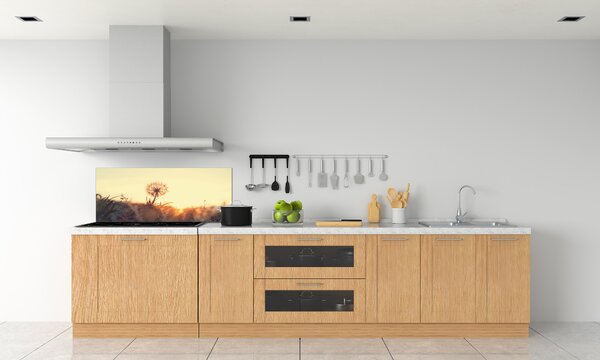 Dekorační panel sklo Pampeliška pksh-85195523