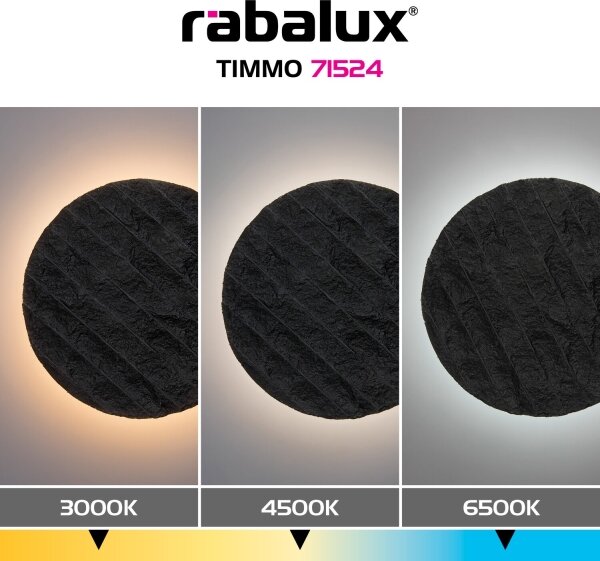 Rabalux 71524 - LED Nástěnné svítidlo TIMMO LED/12W/230V 3000/4500/6500K černá