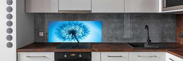 Dekorační panel sklo Pampeliška pksh-85353330