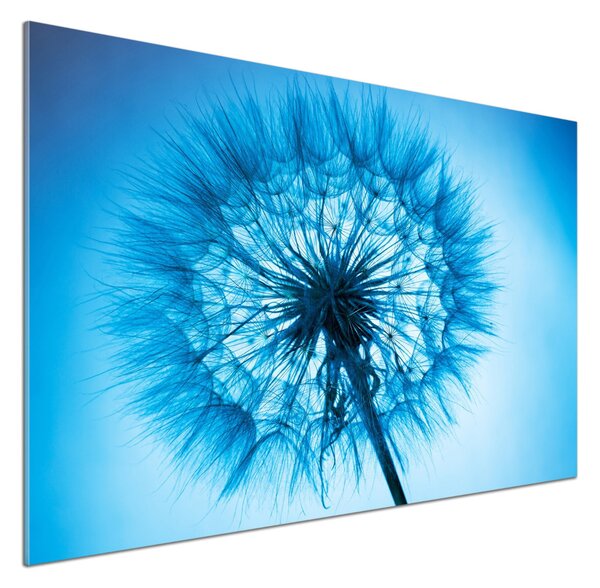 Dekorační panel sklo Pampeliška pksh-85353330