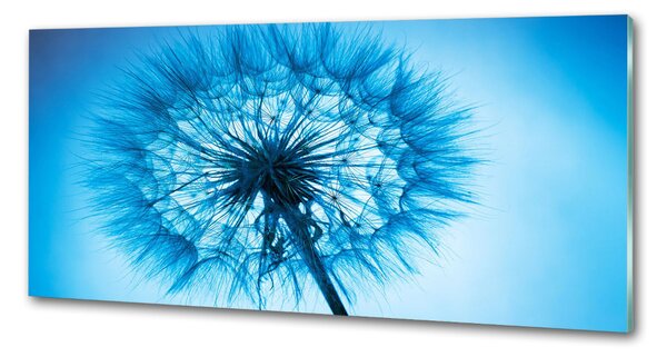 Dekorační panel sklo Pampeliška pksh-85353330