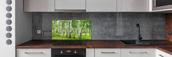 Dekorační panel sklo Břízový les pksh-85613602