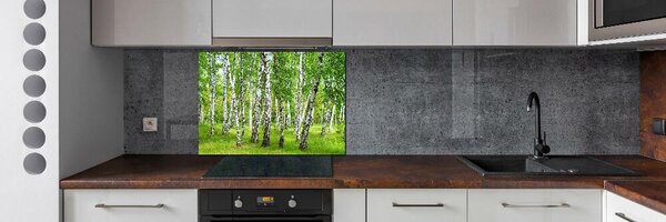 Dekorační panel sklo Břízový les pksh-85613602