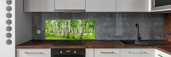Dekorační panel sklo Břízový les pksh-85613602