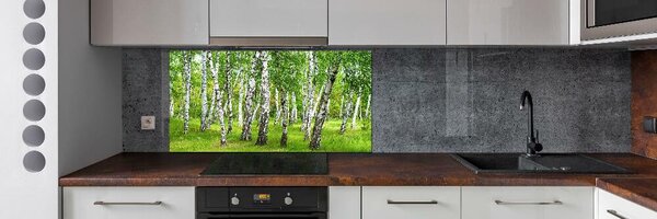 Dekorační panel sklo Břízový les pksh-85613602