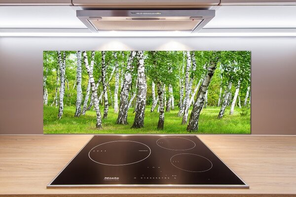 Dekorační panel sklo Břízový les pksh-85613602