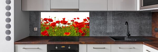 Dekorační panel sklo Polní mák pksh-86187461