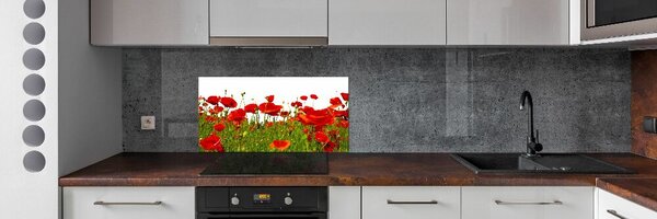 Dekorační panel sklo Polní mák pksh-86187461