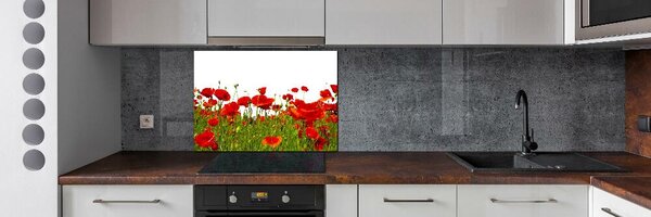 Dekorační panel sklo Polní mák pksh-86187461