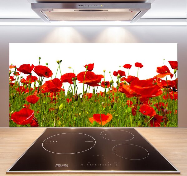 Dekorační panel sklo Polní mák pksh-86187461