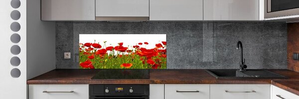 Dekorační panel sklo Polní mák pksh-86187461