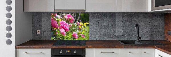 Dekorační panel sklo Díková růže pksh-86194342